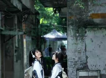 今日吃瓜：一键免费获取热门大瓜，消化能力要提高哦！