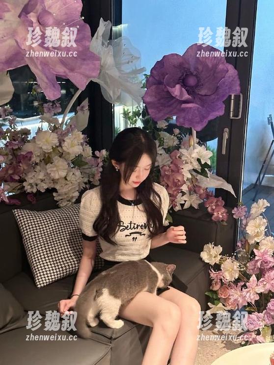 吃瓜网 随便登录,吃瓜网的在线观看内容比我想象的还要火爆啊!