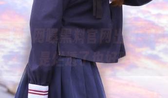 网曝黑料官网出的黑料，果然是烂透了也好吃
