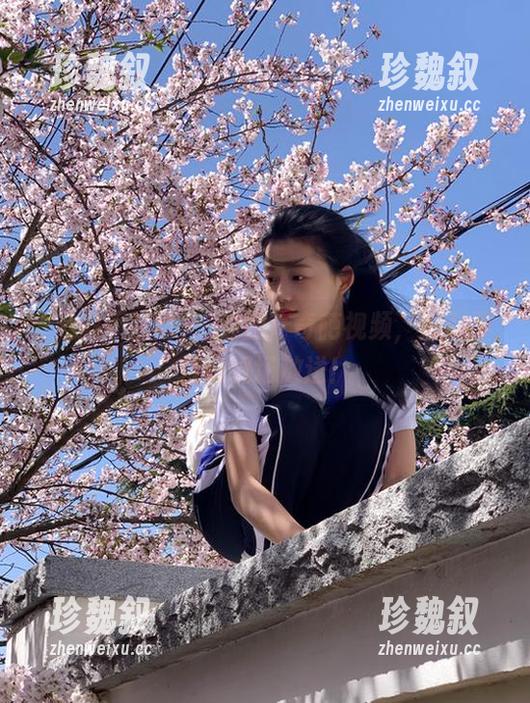 黑料不打烊 一波国产奇葩视频,黑料不打烊现场放送!