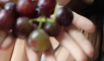 直达黑料研究所,心态不崩都是高手!