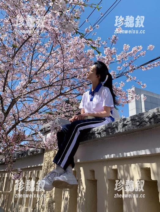有些网页与黑料网官网一样，总能挑起我的好奇心。